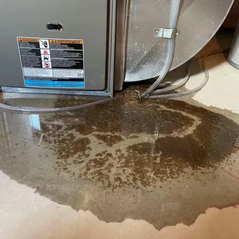 Appliance Leak Cleanup in Big Lake, MN